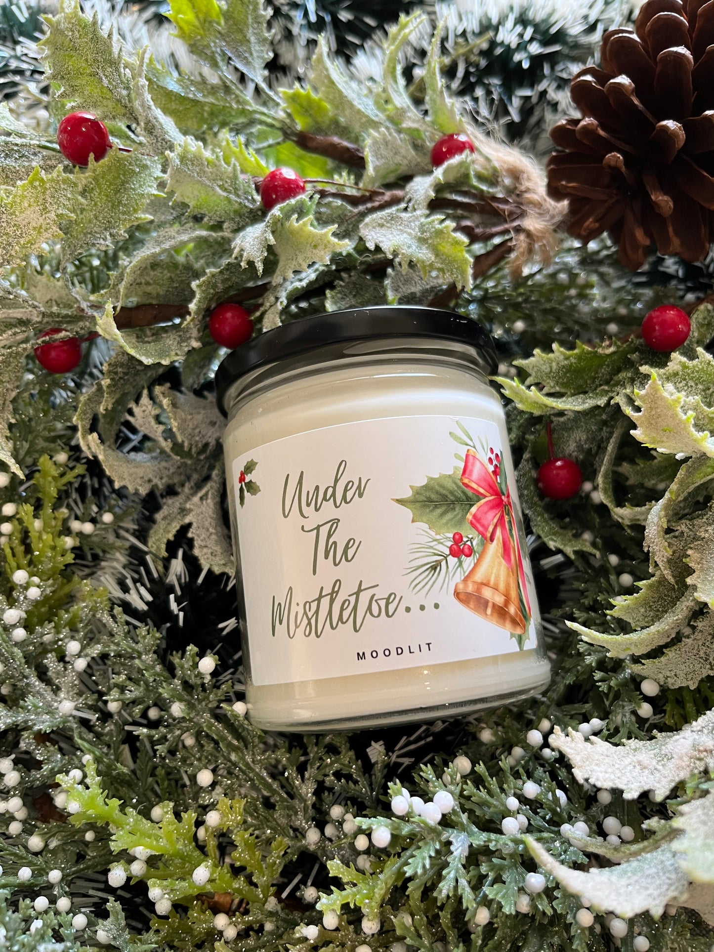 Under The Mistletoe...